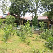 NGÔI NHÀ MƠ ƯỚC