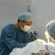 NGƯỜI TÔI ĐÃ GẶP