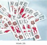 “NGHỊ QUYẾT 120″